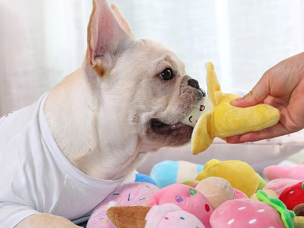 Pet Toys