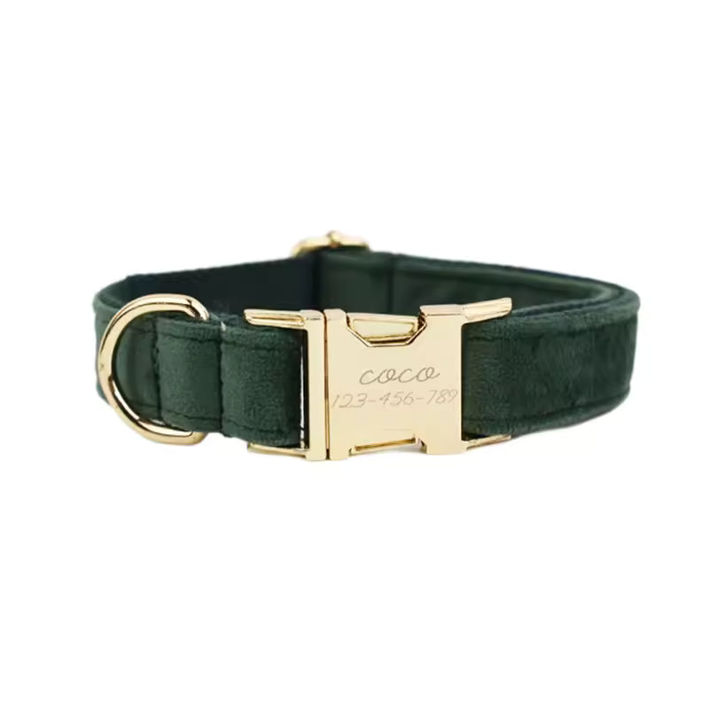 Personalized Velvet Dog Collar Harness Set