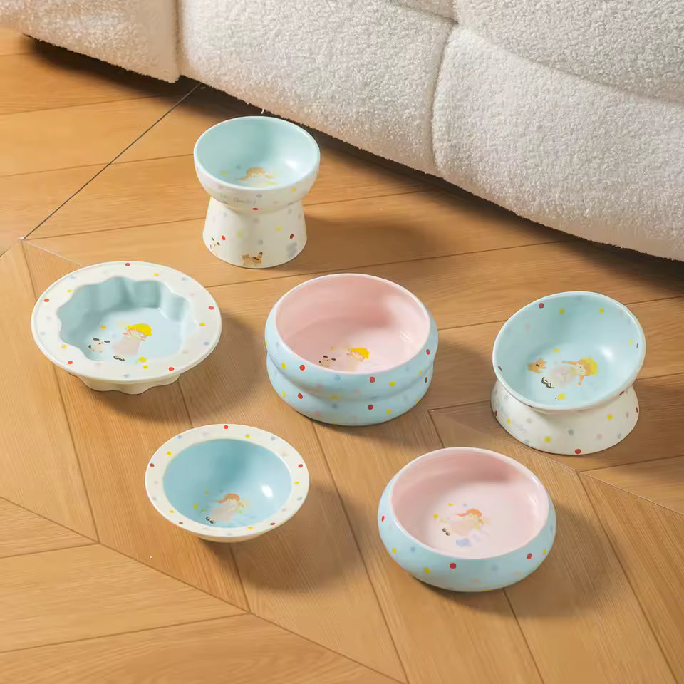 Raised Anti Spill Pet Feeding Bowl