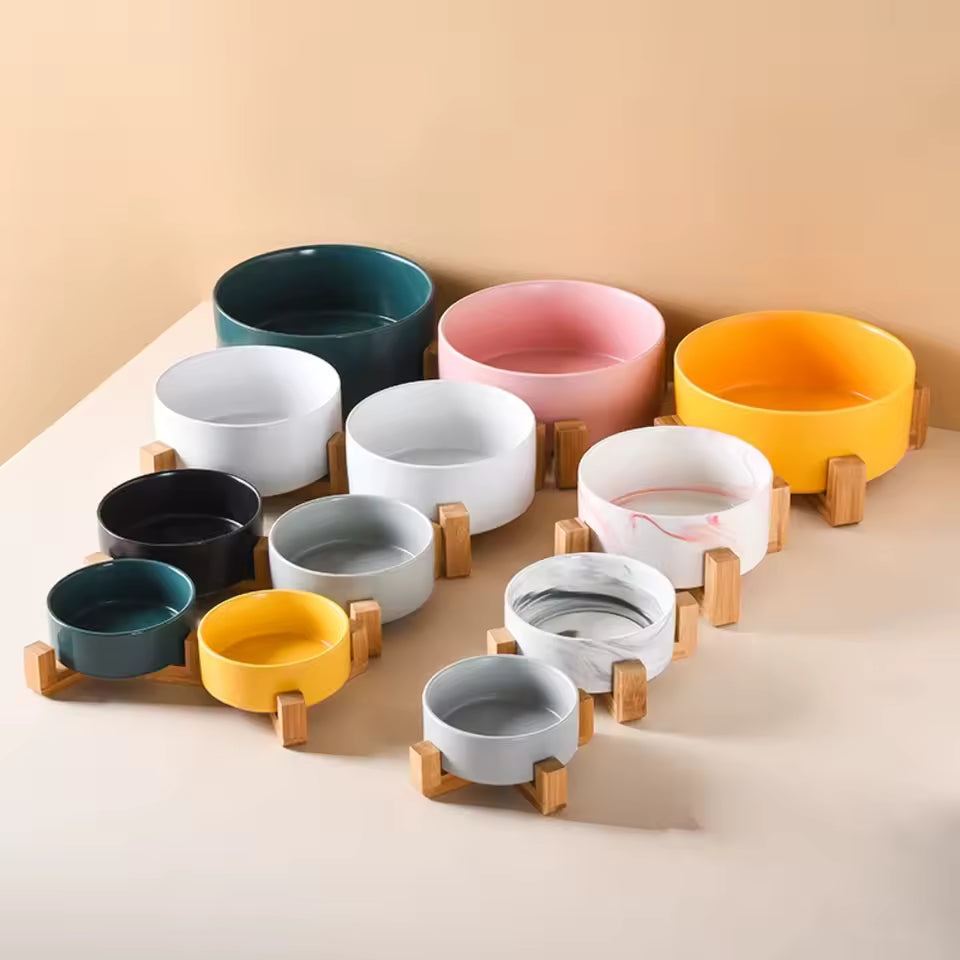 Elevated Dual Cat Bowl with Wooden Stand