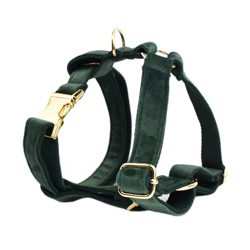 Personalized Velvet Dog Collar Harness Set